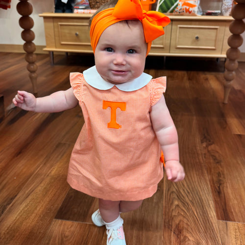 Tennessee Gingham Embroidered Baby/Girls A-Line Dress