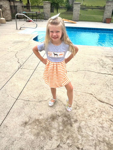 Smokey Tri Star State Toddler Girls Dress