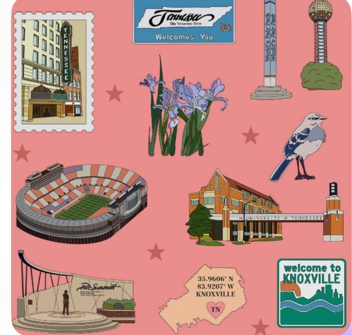 Knoxville Set of 4 Ceramic Coasters - Pink