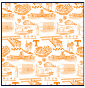 Tennessee Orange and White Skirt