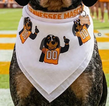 Load image into Gallery viewer, Smokey Bandana