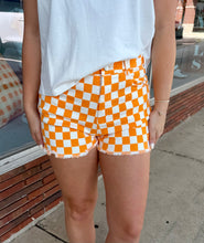 Load image into Gallery viewer, Checker Shorts