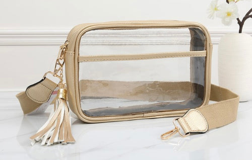 Gold Rectangular Clear Bag 10x7x3