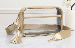 Gold Rectangular Clear Bag 10x7x3
