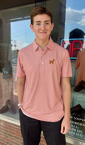 Men’s Stripe Smokey Polo