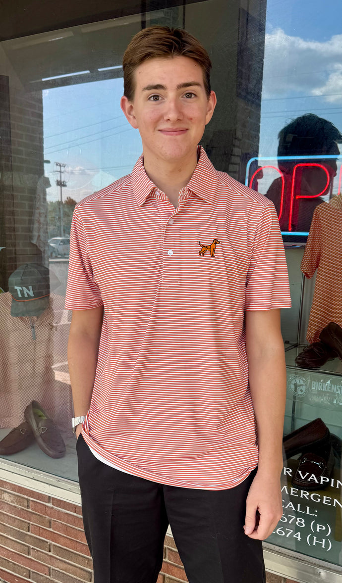 Men’s Stripe Smokey Polo