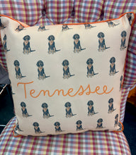 Load image into Gallery viewer, Hound Dog and Gingham Pillow 18x18