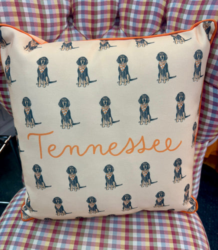 Hound Dog and Gingham Pillow 18x18