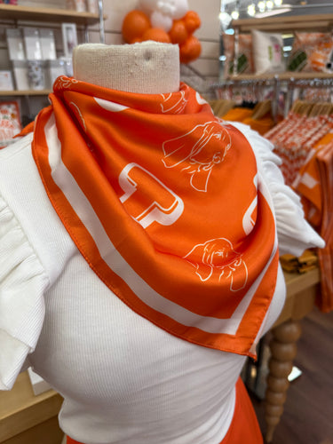 Power T and Smokey 22x22 Scarf